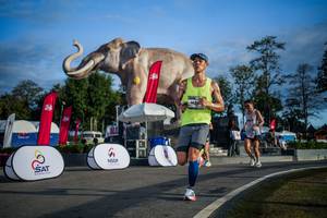 BIB: 
                            <button type="button" onclick="openModal(26541789)" class="btn btn-primary btn-sm float-right btn-popup" data-toggle="modal" data-target=".modal-high-quality">
                        <i class="fas fa-shopping-cart"></i> Add to Cart
                    </button>
                                            <button type="button" onclick="isThisMe(26541789, true)" class="btn btn-success btn-sm float-right btn-popup btn-isme hidden" data-toggle="tooltip" data-placement="bottom" title="นี่คือรูปของคุณใช่ไหม คลิกที่นี่เพื่อเอาเข้าอัลบั้ม">
                        <i class="fas fa-plus"></i> Add to album
                    </button>
                    <button type="button" onclick="isThisMe(26541789, false)" class="btn btn-warning btn-sm float-right btn-popup btn-isnotme hidden">
                        <i class="fas fa-ban"></i> Remove from album
                    </button>